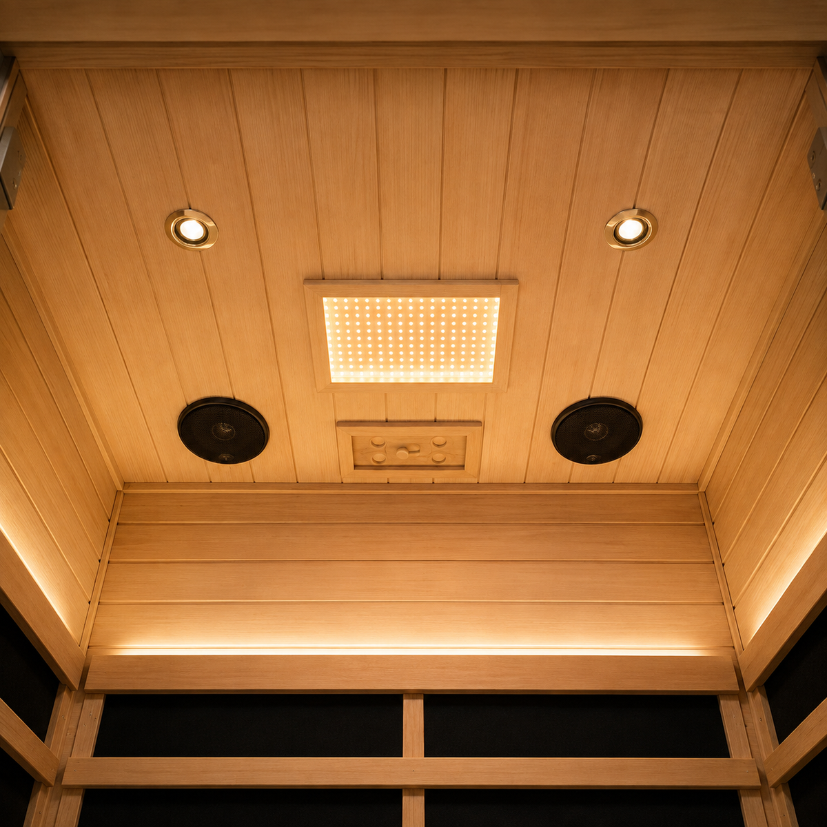 Wizzisaunas S02 sauna ceiling with lighting and speakers